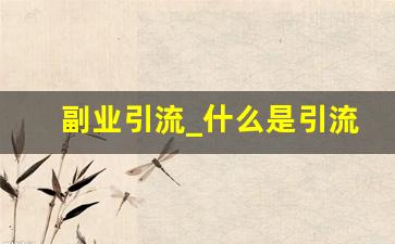 副业引流_什么是引流赚钱