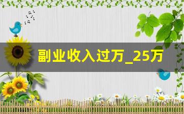 副业收入过万_25万副业