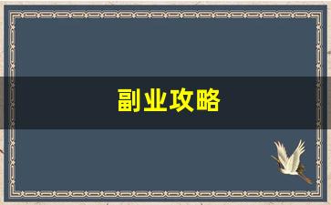 副业攻略