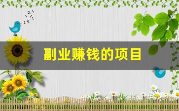 副业赚钱的项目