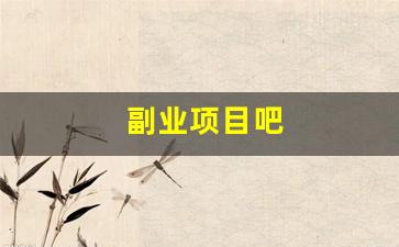 副业项目吧
