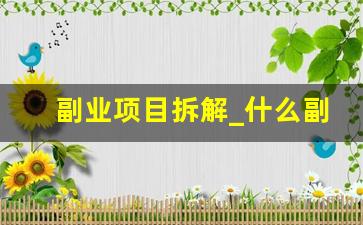 副业项目拆解_什么副业可以赚钱