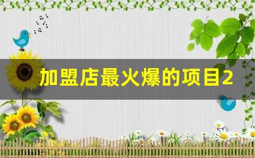 加盟店最火爆的项目2023_2023年加盟店发展趋势