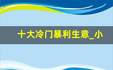 十大冷门暴利生意_小县城最缺什么独门生意