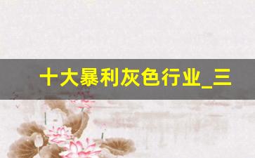 十大暴利灰色行业_三天赚到二十万黑方法