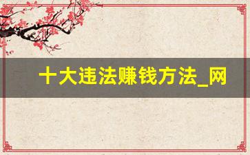 十大违法赚钱方法_网上搞钱的野路子