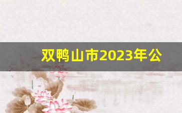 双鸭山市2023年公开招聘时间