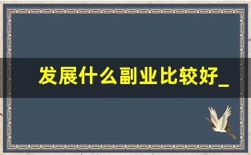 发展什么副业比较好_月入一万的隐形副业