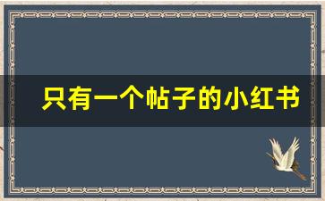 只有一个帖子的小红书博主