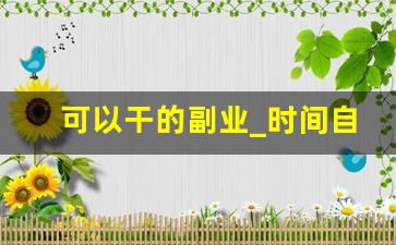 可以干的副业_时间自由的副业