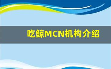 吃鲸MCN机构介绍