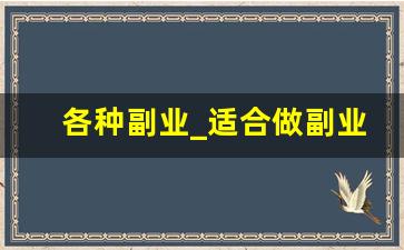 各种副业_适合做副业的项目