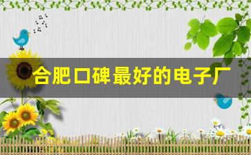 合肥口碑最好的电子厂_合肥有电子厂8000工资