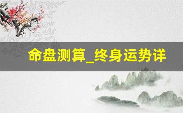 命盘测算_终身运势详批