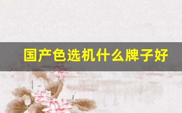 国产色选机什么牌子好