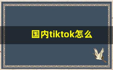 国内tiktok怎么看