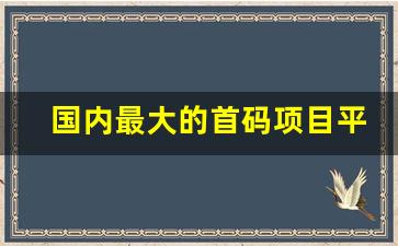 国内最大的首码项目平台_新出首码分红