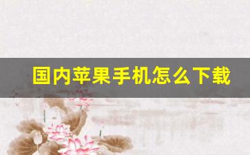 国内苹果手机怎么下载tiktok_苹果手机下载tiktok的步骤