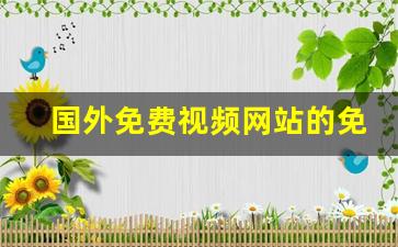 国外免费视频网站的免费素材