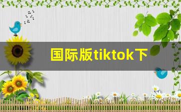 国际版tiktok下载_tiktok加速器