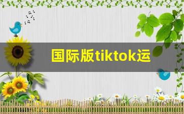 国际版tiktok运营_国际版tiktok网址
