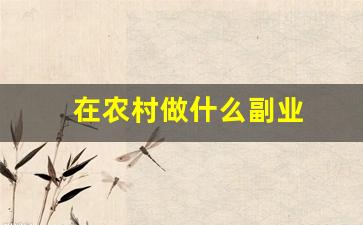 在农村做什么副业