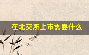 在北交所上市需要什么条件