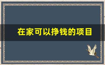 在家可以挣钱的项目