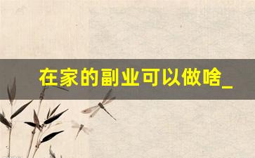在家的副业可以做啥_电脑赚钱副业在家无门槛