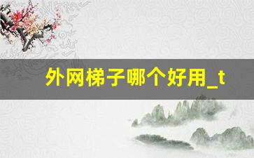 外网梯子哪个好用_twitter免费加速器