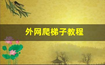 外网爬梯子教程