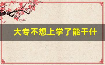 大专不想上学了能干什么_大专上到一半不想读了