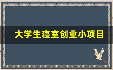 大学生寝室创业小项目_比较新颖的创业项目
