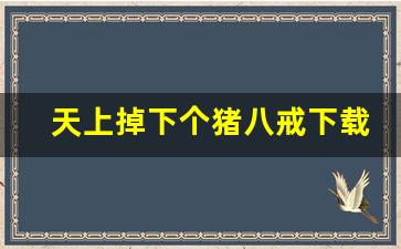 天上掉下个猪八戒下载_天下卓下个猪八戒