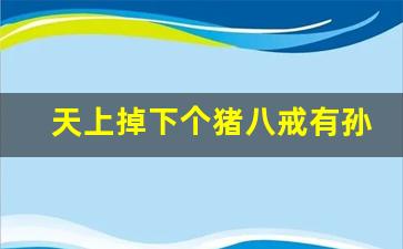 天上掉下个猪八戒有孙悟空吗_给我放一个猪八戒的动画片