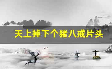 天上掉下个猪八戒片头曲_八戒八戒肥头大耳歌词