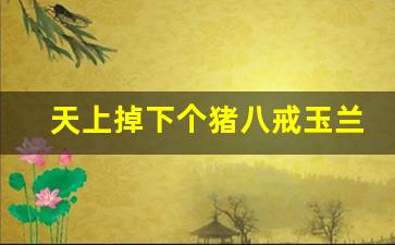 天上掉下个猪八戒玉兰_天上掉下个猪八戒第二季
