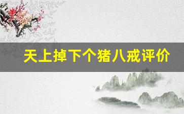 天上掉下个猪八戒评价_天上掉下个猪八戒读后感100个字