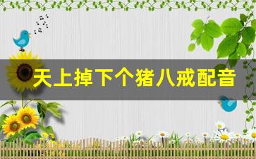 天上掉下个猪八戒配音_天上掉下个猪八戒吃辣大比拼