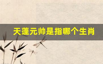 天蓬元帅是指哪个生肖_天篷元帅的生肖