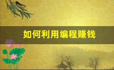 如何利用编程赚钱