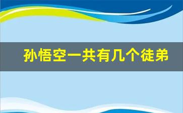 孙悟空一共有几个徒弟