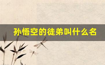 孙悟空的徒弟叫什么名字_孙悟空一共有几个徒弟