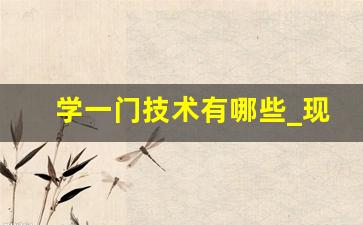 学一门技术有哪些_现在有什么可以学的技术