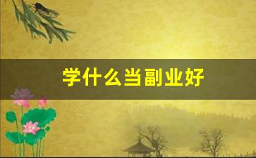 学什么当副业好
