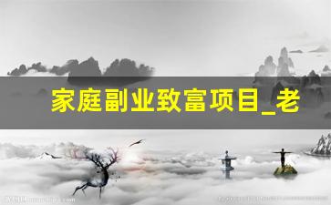 家庭副业致富项目_老实人创业做什么好