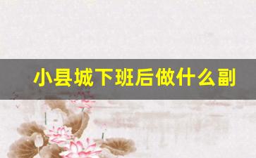 小县城下班后做什么副业赚钱