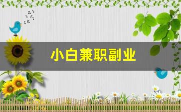 小白兼职副业
