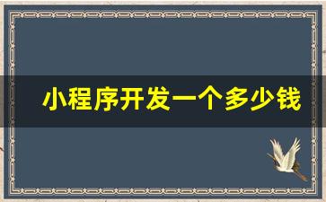 小程序开发一个多少钱啊