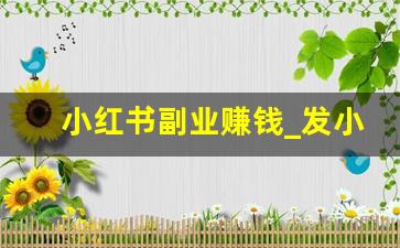 小红书副业赚钱_发小红书的人如何赚钱